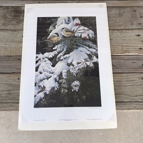 Signed, Limited Edition Print: Winter In My Backyard by Alan Sakhavarz SEALED! - Picture 1 of 7